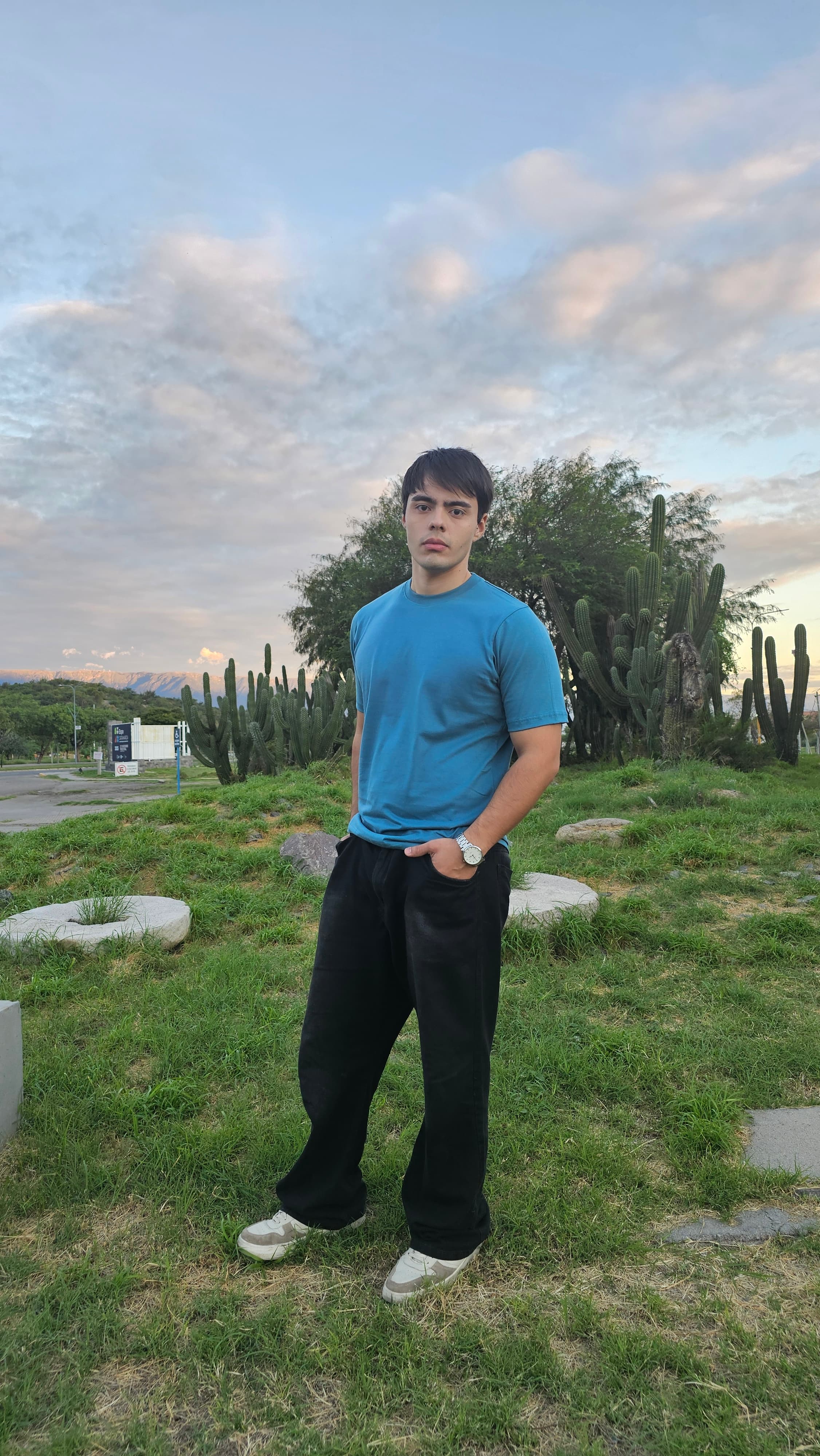 Remera petroleo en el parque